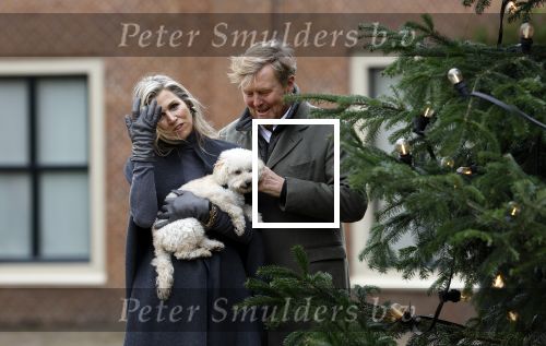 Den Haag 22 december 2023
Fotouurtje met Koning Willem Alexander Koningin Maxima Prinses Amalia Prinses Alexia Prinses Ariane en hun hondje Mambo bij Huis ten Bosch .