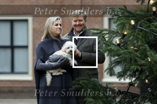 Den Haag 22 december 2023
Fotouurtje met Koning Willem Alexander Koningin Maxima Prinses Amalia Prinses Alexia Prinses Ariane en hun hondje Mambo bij Huis ten Bosch .