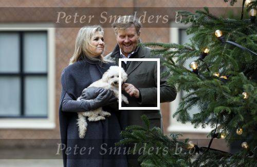 Den Haag 22 december 2023
Fotouurtje met Koning Willem Alexander Koningin Maxima Prinses Amalia Prinses Alexia Prinses Ariane en hun hondje Mambo bij Huis ten Bosch .