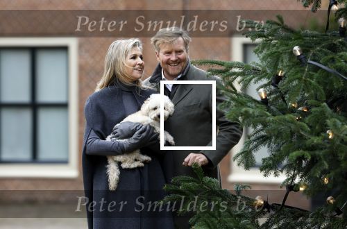 Den Haag 22 december 2023
Fotouurtje met Koning Willem Alexander Koningin Maxima Prinses Amalia Prinses Alexia Prinses Ariane en hun hondje Mambo bij Huis ten Bosch .