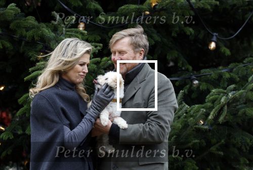 Den Haag 22 december 2023
Fotouurtje met Koning Willem Alexander Koningin Maxima Prinses Amalia Prinses Alexia Prinses Ariane en hun hondje Mambo bij Huis ten Bosch .