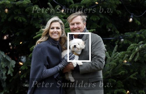 Den Haag 22 december 2023
Fotouurtje met Koning Willem Alexander Koningin Maxima Prinses Amalia Prinses Alexia Prinses Ariane en hun hondje Mambo bij Huis ten Bosch .