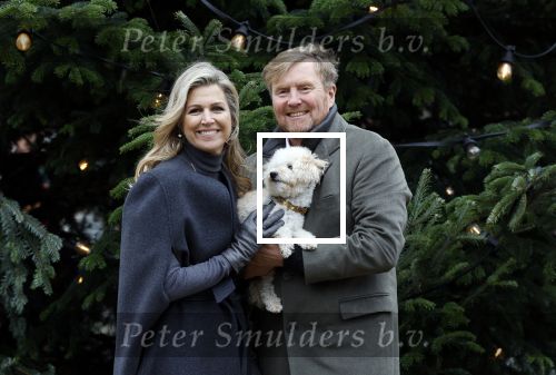 Den Haag 22 december 2023
Fotouurtje met Koning Willem Alexander Koningin Maxima Prinses Amalia Prinses Alexia Prinses Ariane en hun hondje Mambo bij Huis ten Bosch .