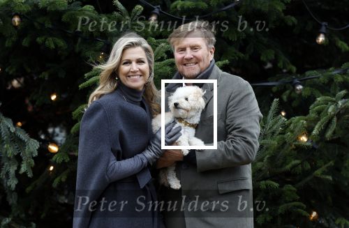 Den Haag 22 december 2023
Fotouurtje met Koning Willem Alexander Koningin Maxima Prinses Amalia Prinses Alexia Prinses Ariane en hun hondje Mambo bij Huis ten Bosch .