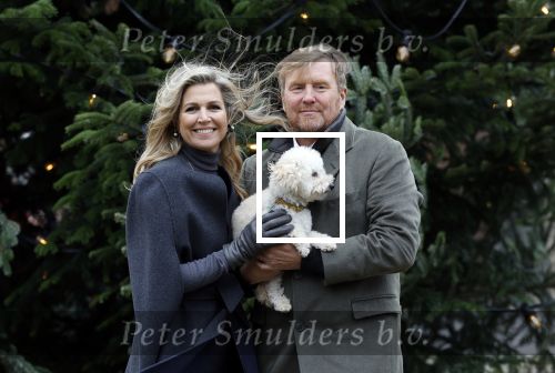 Den Haag 22 december 2023
Fotouurtje met Koning Willem Alexander Koningin Maxima Prinses Amalia Prinses Alexia Prinses Ariane en hun hondje Mambo bij Huis ten Bosch .