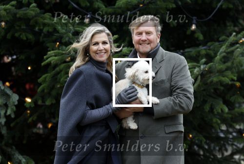 Den Haag 22 december 2023
Fotouurtje met Koning Willem Alexander Koningin Maxima Prinses Amalia Prinses Alexia Prinses Ariane en hun hondje Mambo bij Huis ten Bosch .