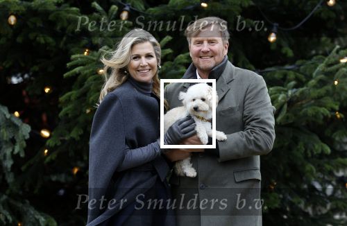 Den Haag 22 december 2023
Fotouurtje met Koning Willem Alexander Koningin Maxima Prinses Amalia Prinses Alexia Prinses Ariane en hun hondje Mambo bij Huis ten Bosch .