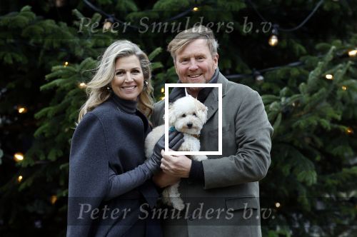 Den Haag 22 december 2023
Fotouurtje met Koning Willem Alexander Koningin Maxima Prinses Amalia Prinses Alexia Prinses Ariane en hun hondje Mambo bij Huis ten Bosch .