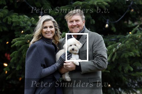 Den Haag 22 december 2023
Fotouurtje met Koning Willem Alexander Koningin Maxima Prinses Amalia Prinses Alexia Prinses Ariane en hun hondje Mambo bij Huis ten Bosch .