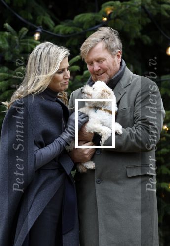 Den Haag 22 december 2023
Fotouurtje met Koning Willem Alexander Koningin Maxima Prinses Amalia Prinses Alexia Prinses Ariane en hun hondje Mambo bij Huis ten Bosch .
