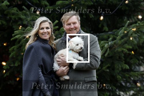 Den Haag 22 december 2023
Fotouurtje met Koning Willem Alexander Koningin Maxima Prinses Amalia Prinses Alexia Prinses Ariane en hun hondje Mambo bij Huis ten Bosch .