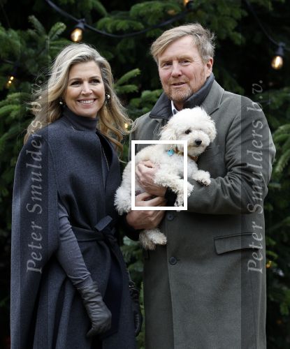 Den Haag 22 december 2023
Fotouurtje met Koning Willem Alexander Koningin Maxima Prinses Amalia Prinses Alexia Prinses Ariane en hun hondje Mambo bij Huis ten Bosch .