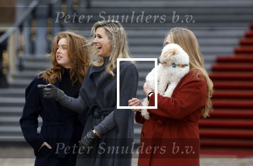 Den Haag 22 december 2023
Fotouurtje met Koning Willem Alexander Koningin Maxima Prinses Amalia Prinses Alexia Prinses Ariane en hun hondje Mambo bij Huis ten Bosch .