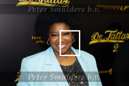 Amsterdam 12 december 2023
Premiere de tata\'s in Tuschinski. Leona Philipo