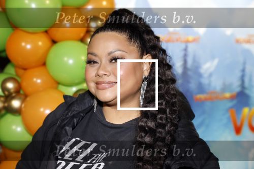 Amsterdam 2 december 2023
Premiere vogelvlucht in Pathe arena .
De cast met oa Floris Gobel Edsilia Rombley Linda Wagemakers Rayen Panday Posy Bakkum Imaani Oosterhuis Karin Bloemen en Thomas Koekkoek