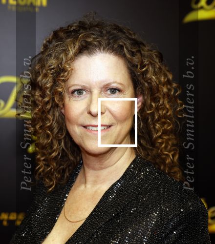 Amsterdam 12 december 2023
Premiere de tata\'s in Tuschinski. Margot Ros