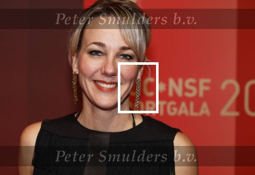Utrecht 20 december 2023
Sportman / sportvrouw van jaar gala . Marianne Timmer