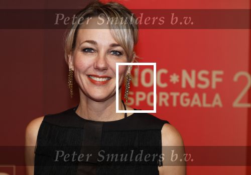 Utrecht 20 december 2023
Sportman / sportvrouw van jaar gala . Marianne Timmer