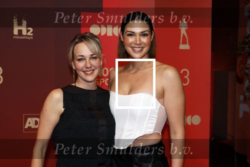 Utrecht 20 december 2023
Sportman / sportvrouw van jaar gala . Marianne Timmer en Chatilla v Grunsven