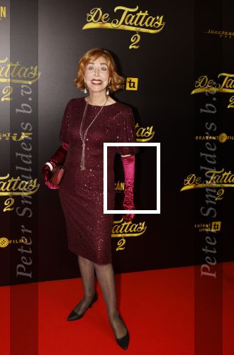 Amsterdam 12 december 2023
Premiere de tata\'s in Tuschinski. Marijke Helwegen