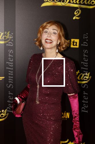 Amsterdam 12 december 2023
Premiere de tata\'s in Tuschinski. Marijke Helwegen