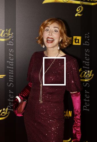 Amsterdam 12 december 2023
Premiere de tata\'s in Tuschinski. Marijke Helwegen