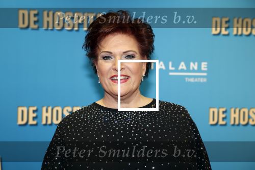 Amsterdam 4 december 2023
Premiere de hospita in het nieuwe delamar theater. marjolein Touw met man