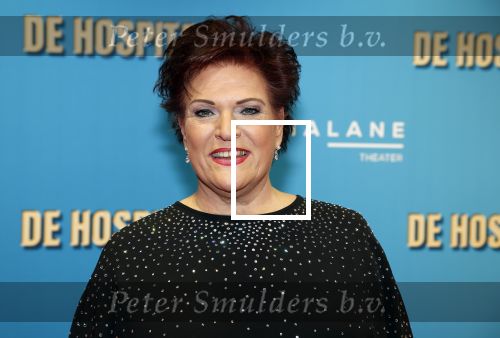 Amsterdam 4 december 2023
Premiere de hospita in het nieuwe delamar theater. marjolein Touw met man