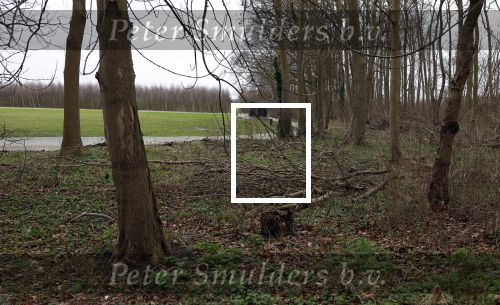Noordwijkerhout 22 december 2023
De bouw van de nieuwe villa / huis van Martien Meiland Erica Meiland en Maxime Meiland is nog niet begonnen