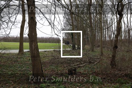Noordwijkerhout 22 december 2023
De bouw van de nieuwe villa / huis van Martien Meiland Erica Meiland en Maxime Meiland is nog niet begonnen
