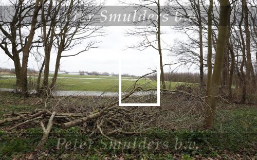Noordwijkerhout 22 december 2023
De bouw van de nieuwe villa / huis van Martien Meiland Erica Meiland en Maxime Meiland is nog niet begonnen