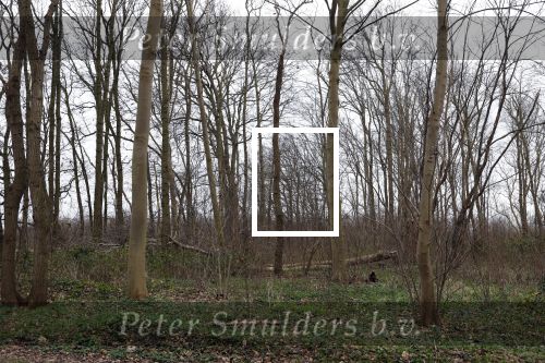 Noordwijkerhout 22 december 2023
De bouw van de nieuwe villa / huis van Martien Meiland Erica Meiland en Maxime Meiland is nog niet begonnen