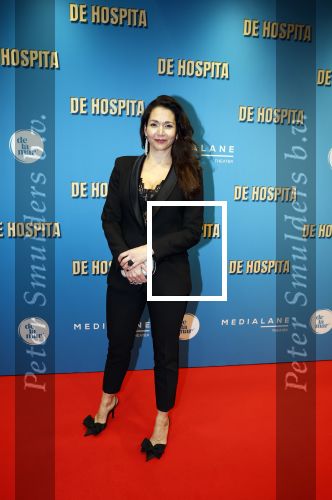Amsterdam 4 december 2023
Premiere de hospita in het nieuwe delamar theater. Meriyem Manders