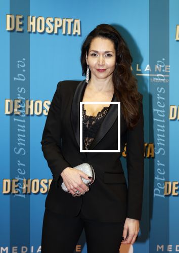 Amsterdam 4 december 2023
Premiere de hospita in het nieuwe delamar theater. Meriyem Manders