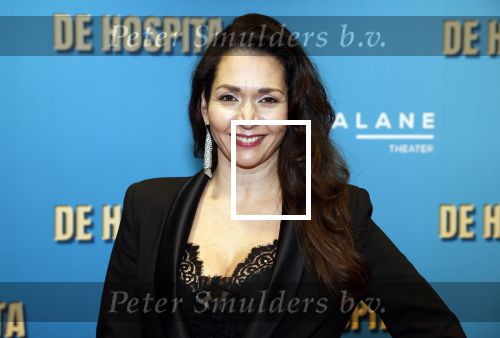 Amsterdam 4 december 2023
Premiere de hospita in het nieuwe delamar theater. Meriyem Manders