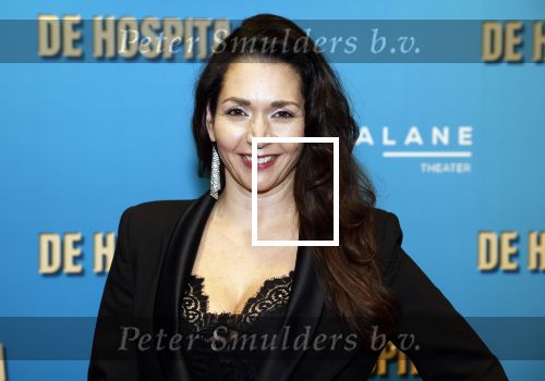 Amsterdam 4 december 2023
Premiere de hospita in het nieuwe delamar theater. Meriyem Manders