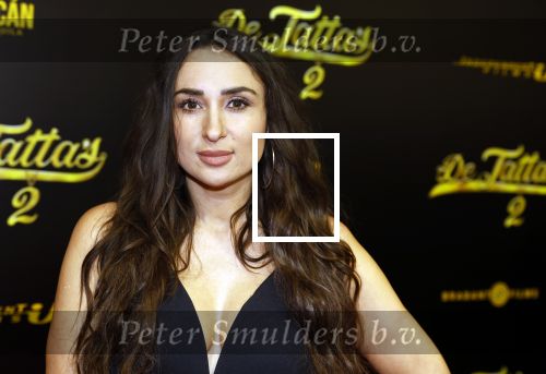 Amsterdam 12 december 2023
Premiere de tata\'s in Tuschinski. Mounira Hadj Mansour