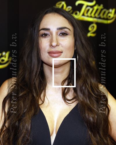 Amsterdam 12 december 2023
Premiere de tata\'s in Tuschinski. Mounira Hadj Mansour