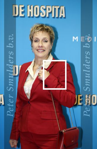 Amsterdam 4 december 2023
Premiere de hospita in het nieuwe delamar theater. Mylene d\'Anjou
Mylene dAnjou