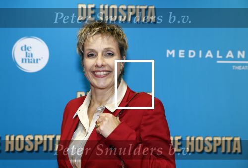 Amsterdam 4 december 2023
Premiere de hospita in het nieuwe delamar theater. Mylene d\'Anjou
Mylene dAnjou