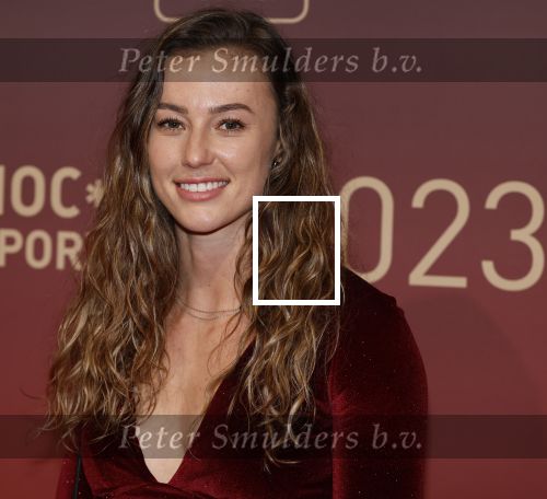 Utrecht 20 december 2023
Sportman / sportvrouw van jaar gala . Nadine Visser