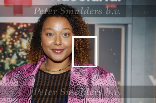 Amsterdam 6 december 2023
Premiere eerste hulp bij kerst  in Pathe Noord van Videoland. Noel v Kleef