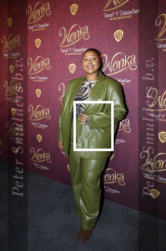 Amsterdam 8 december 2023
Premiere Wonka in pathe Noord . Noel v Kleef