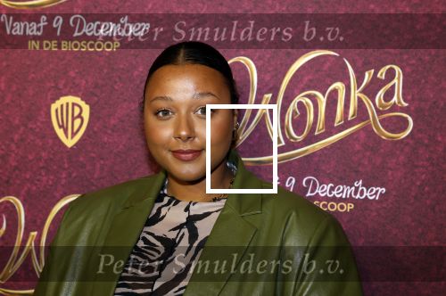 Amsterdam 8 december 2023
Premiere Wonka in pathe Noord . Noel v Kleef