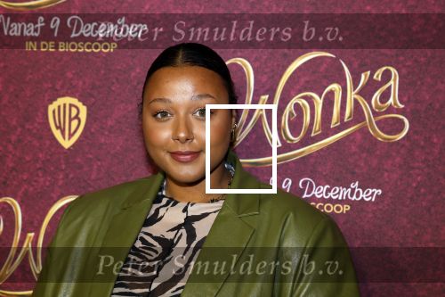 Amsterdam 8 december 2023
Premiere Wonka in pathe Noord . Noel v Kleef