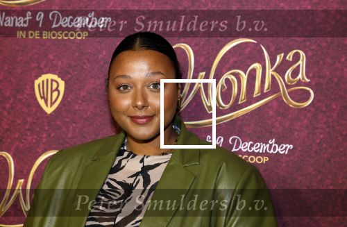 Amsterdam 8 december 2023
Premiere Wonka in pathe Noord . Noel v Kleef
