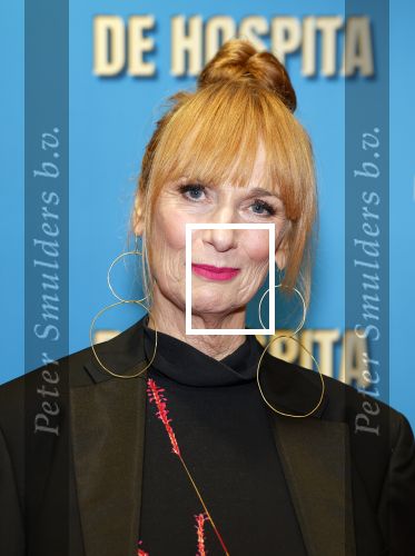 Amsterdam 4 december 2023
Premiere de hospita in het nieuwe delamar theater. Leco van Zadelhoff met Patty Zomer