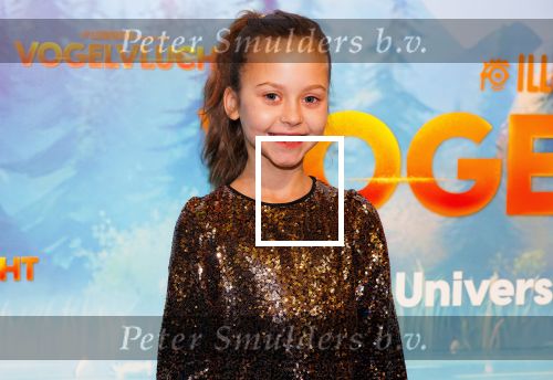 Amsterdam 2 december 2023
Premiere vogelvlucht in Pathe arena .
De cast met oa Floris Gobel Edsilia Rombley Linda Wagemakers Rayen Panday Posy Bakkum Imaani Oosterhuis Karin Bloemen en Thomas Koekkoek