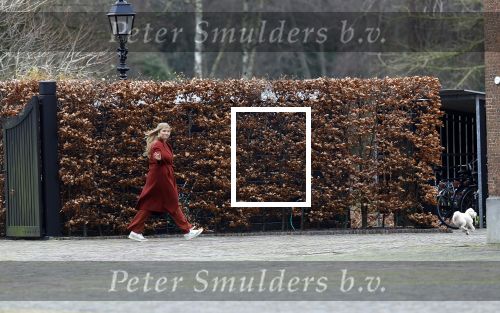 Den Haag 22 december 2023
Fotouurtje met Koning Willem Alexander Koningin Maxima Prinses Amalia Prinses Alexia Prinses Ariane en hun hondje Mambo bij Huis ten Bosch .