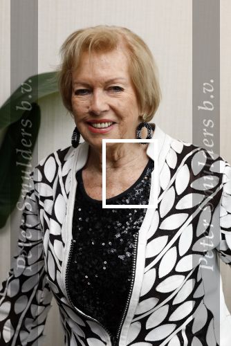 Leidschendam 18 december 203
Society Lunch in Fletcher Hotel Leidschendam. Ria Valk met vriend